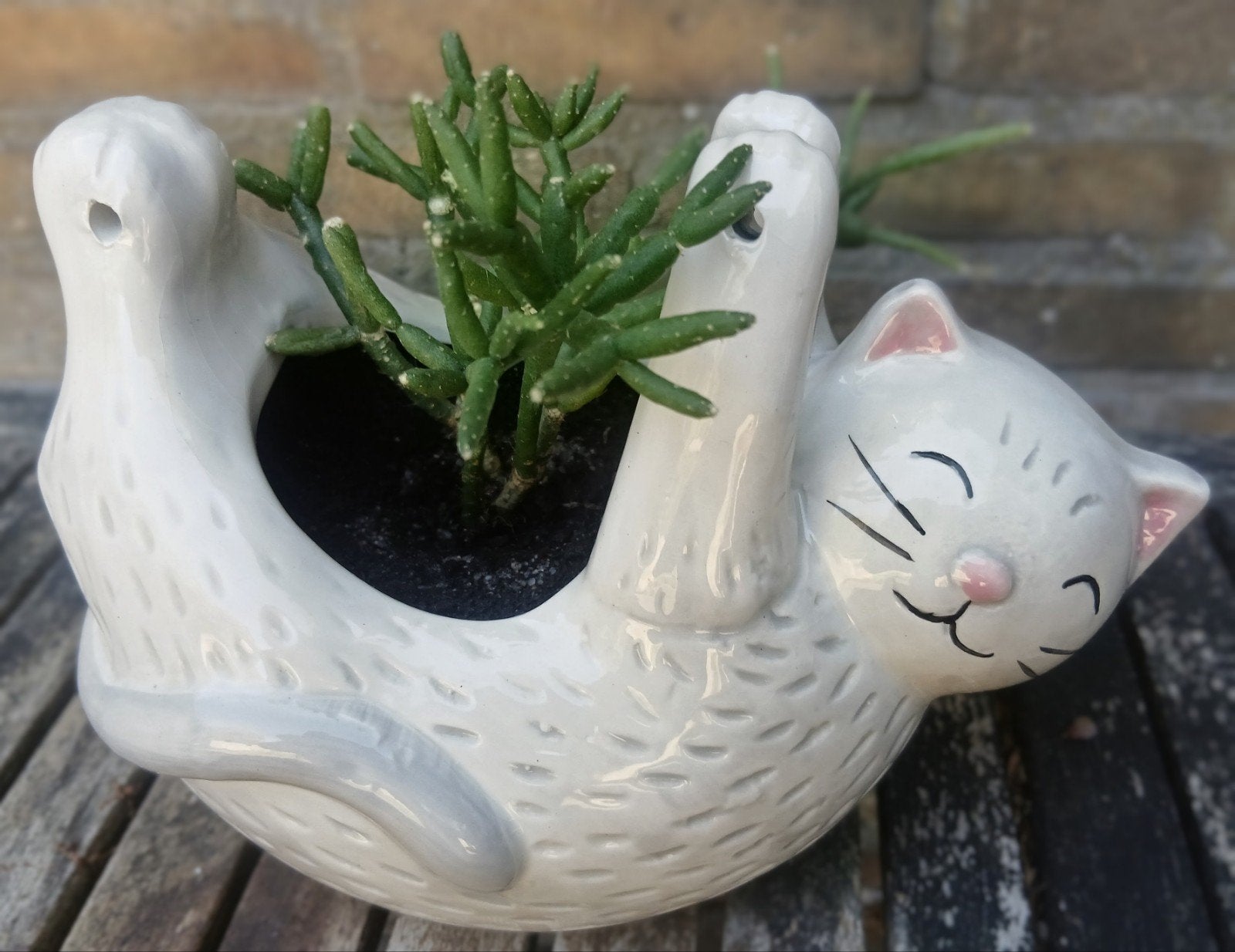 Keramische kattenbloempotje hangpotje, Ophalen