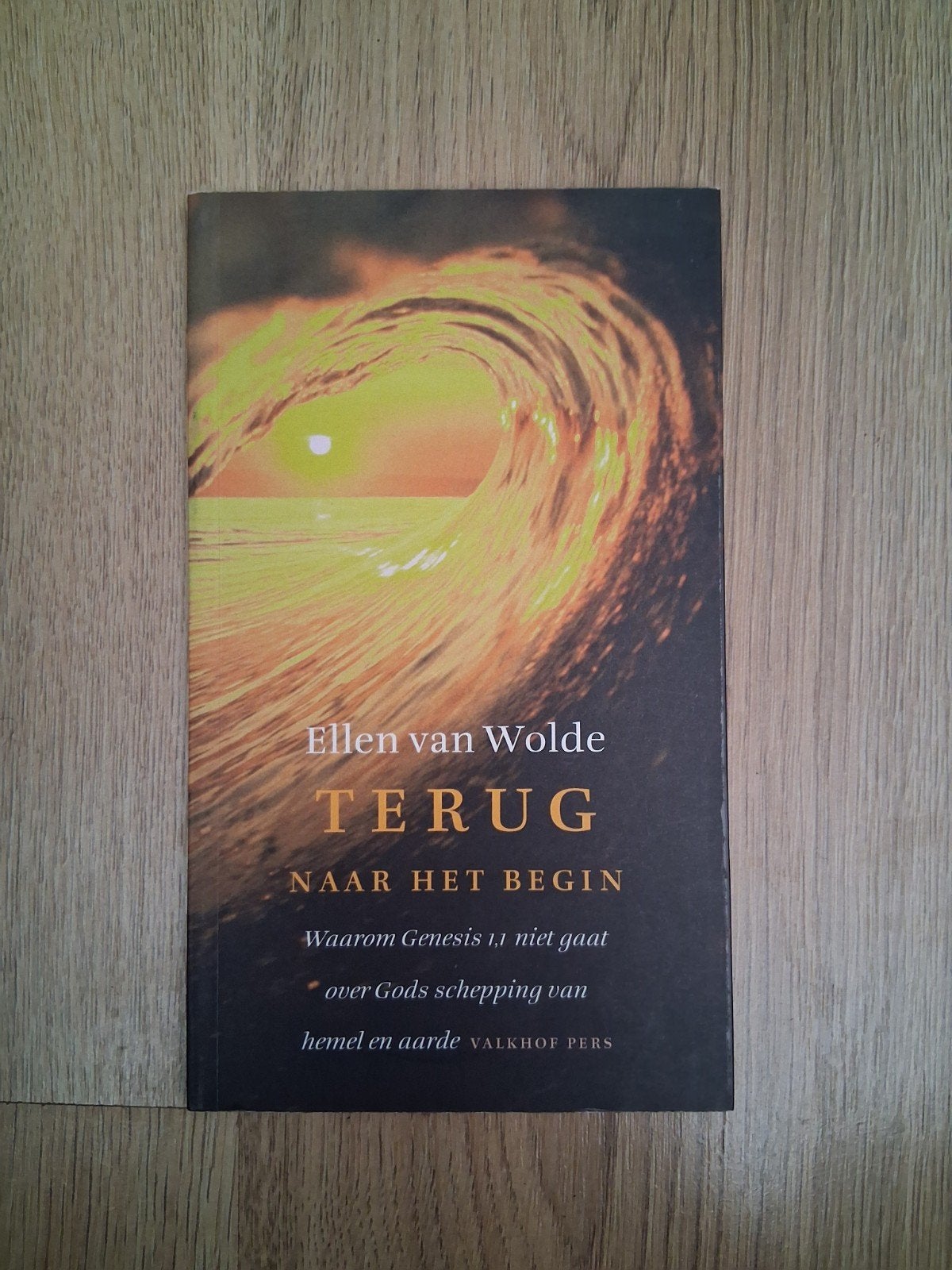 E. van Wolde - Terug naar het begin, Boeken, Ophalen of Verzenden, Zo goed als nieuw, E. van Wolde
