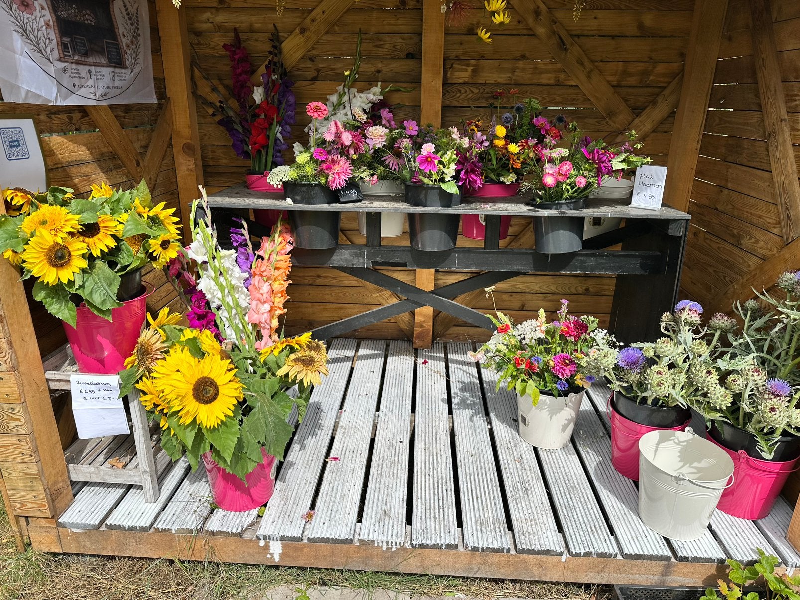 Plukbloemen vanaf 2,99, Tuin en Terras, Ophalen of Verzenden, Overige soorten, Volle zon