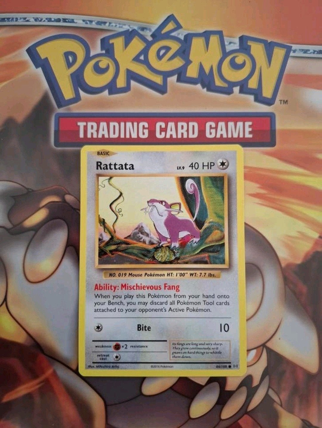 Rattata 66/108 XY evolutions pokemon kaart, Ophalen of Verzenden, Gebruikt, Losse kaart