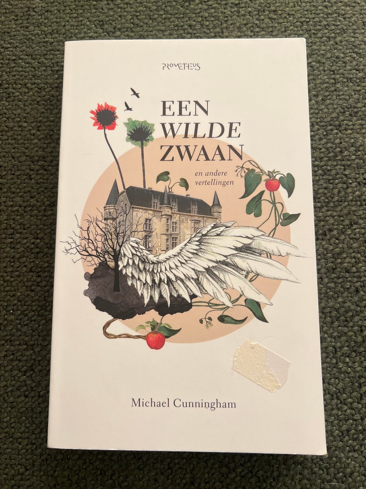 Een Wilde Zwaan - Michael Cunningham (Zo goed als nieuw), Ophalen of Verzenden, Zo goed als nieuw, Nederland