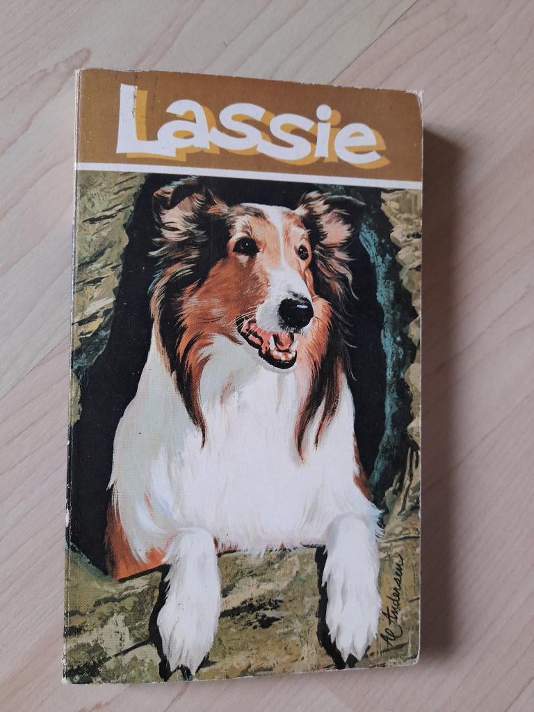 LASSIE DE VERBODEN VALLEI door Charles S Strong, Boeken, Ophalen of Verzenden, Gelezen