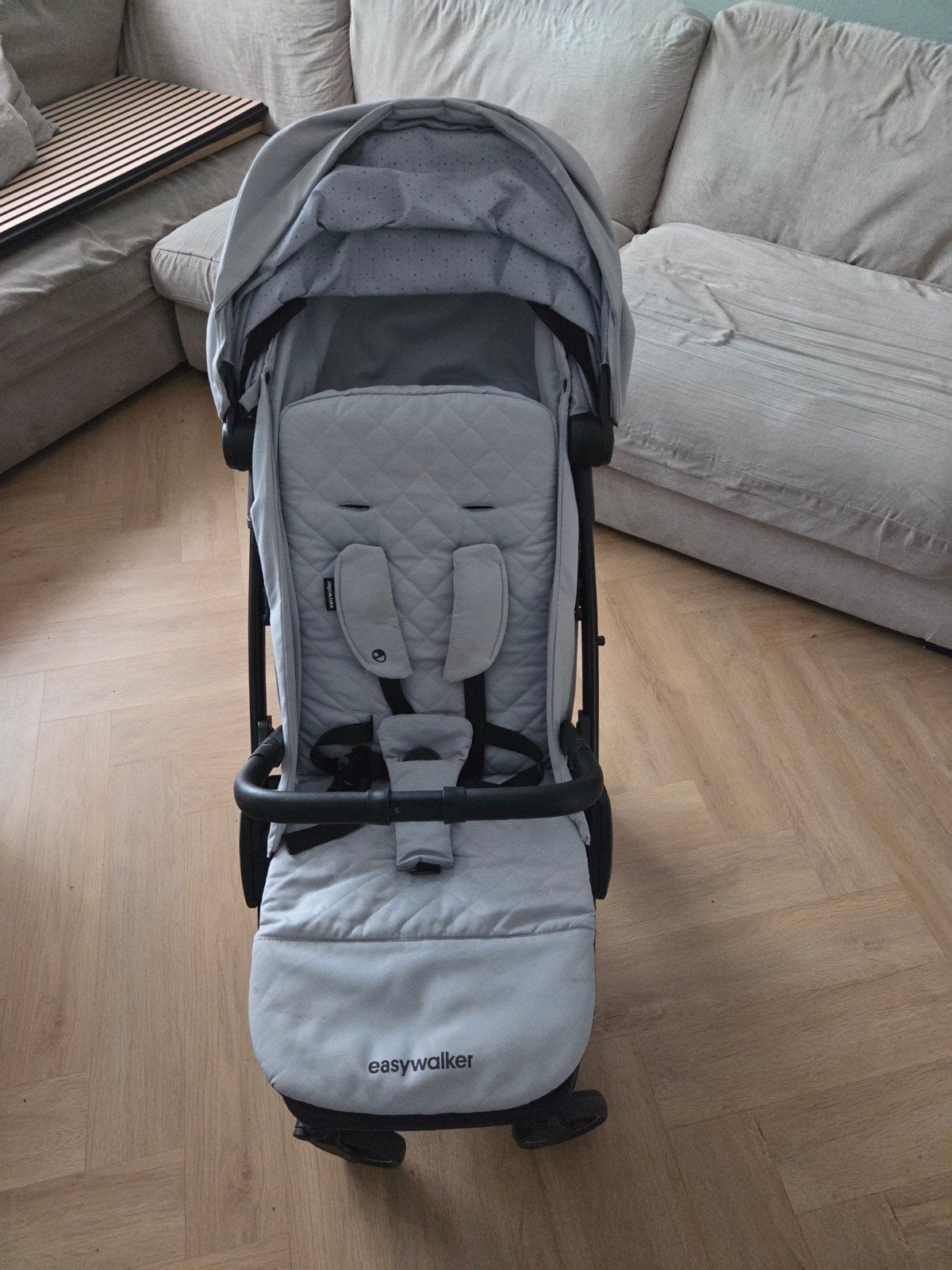Easywalker Buggy met regenhoes, Ophalen, Gebruikt, Kinderwagen, Overige merken