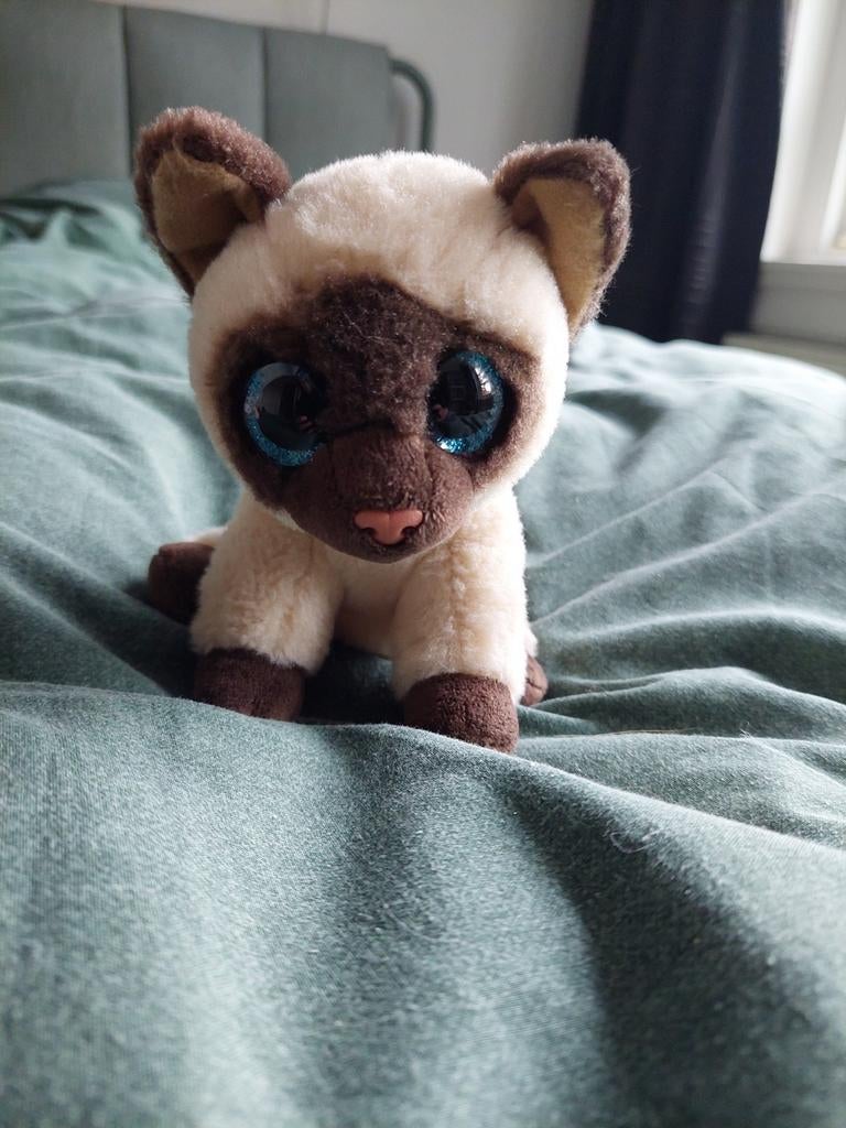 Ty Beanie Boo's Jaden de Siamees Kat, Ophalen of Verzenden, Kat, Klein (minder dan 20 cm), Beige