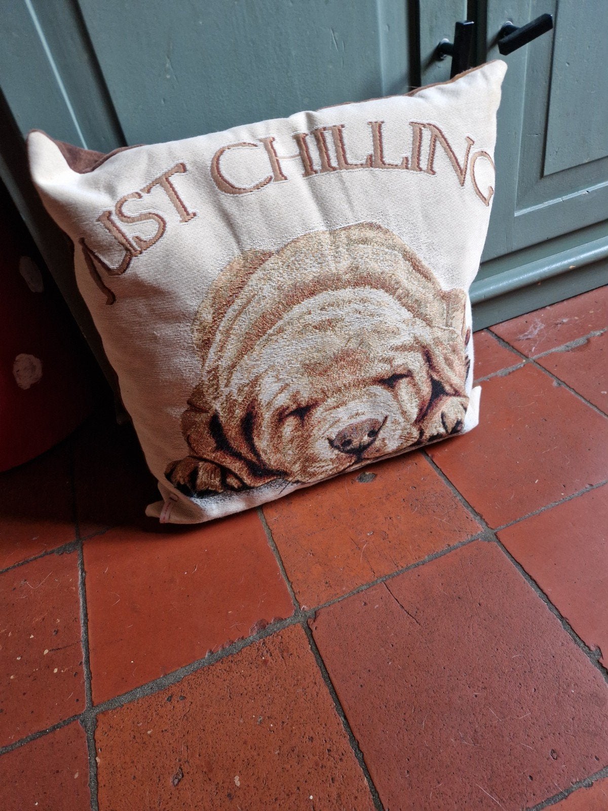 KUSSEN HOND DECOR, Huis en Inrichting, Woonaccessoires | Kussens, Ophalen of Verzenden, Nieuw, Vierkant
