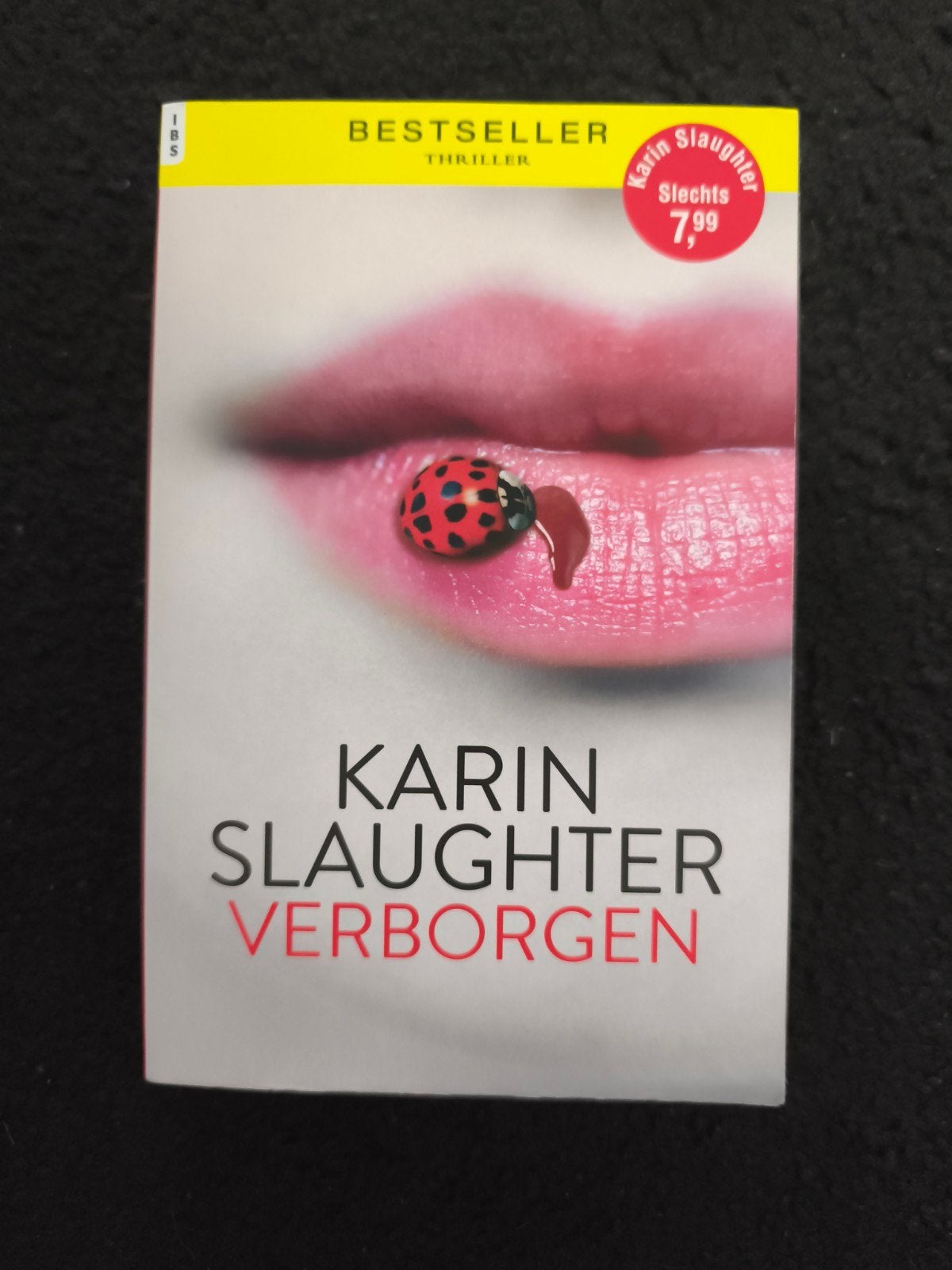 Karin Slaughter - Verborgen (Bestseller Thriller), Boeken, Ophalen of Verzenden, Gelezen, Karin Slaughter, Nederland