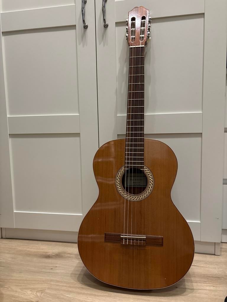 Juan Salvador model 2C gitaar, Ophalen, Nieuw, Klassieke of Spaanse gitaar