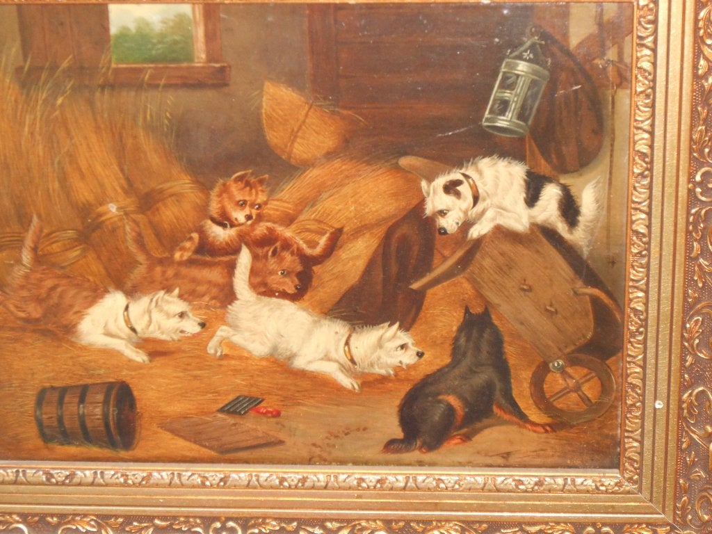 schilderij, Overige ondergronden, Dieren, Ophalen of Verzenden, Ingelijst