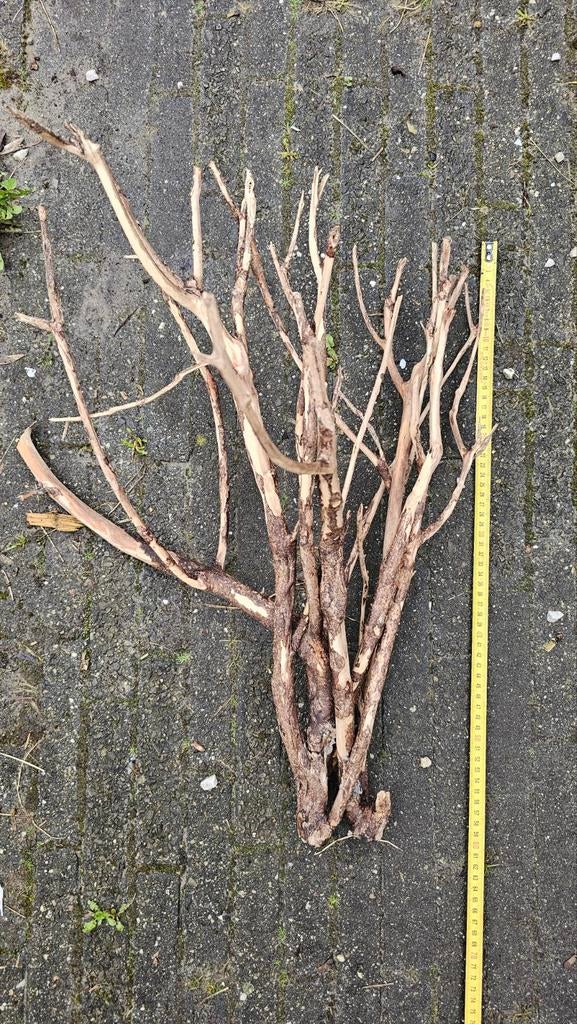 Verschillende stukken aquarium hout, Dieren en Toebehoren, Vissen | Aquaria en Toebehoren, Ophalen, Gebruikt, Plant(en), Steen of Hout