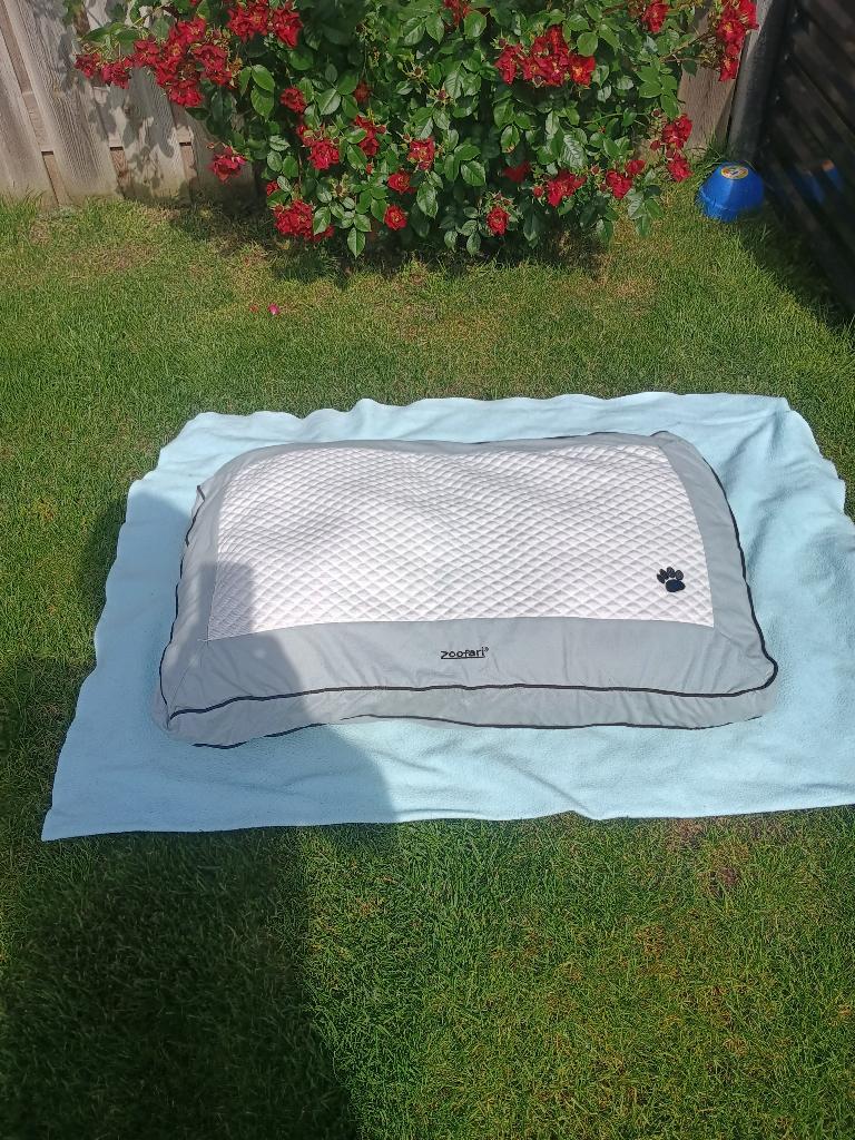 Te koop zeer mooi nagenoeg nieuw Zoofari honden kussen, Ophalen of Verzenden, Zo goed als nieuw, Polyester