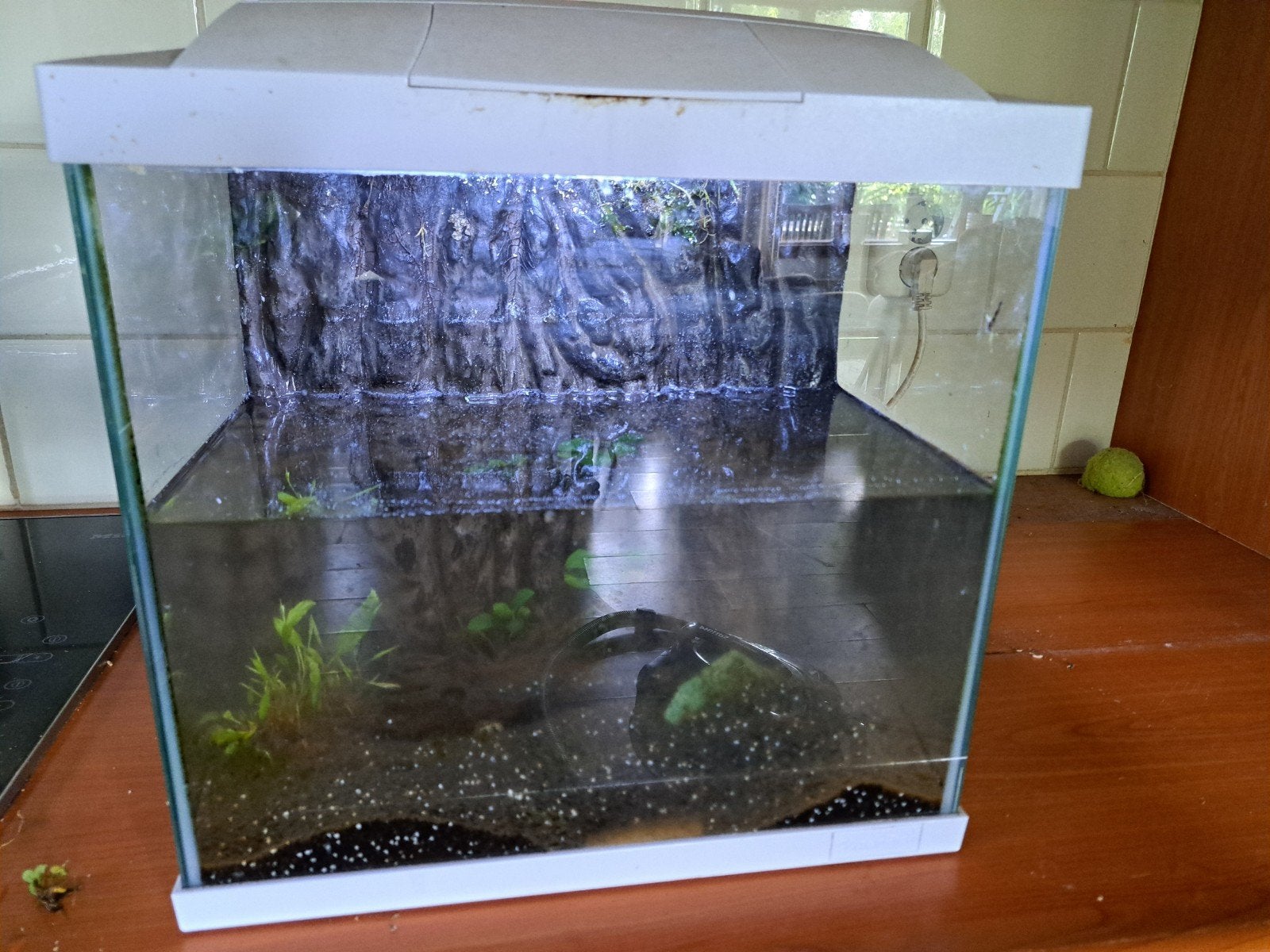 Aquarium 25 ltr, Dieren en Toebehoren, Ophalen of Verzenden, Gevuld zoetwateraquarium