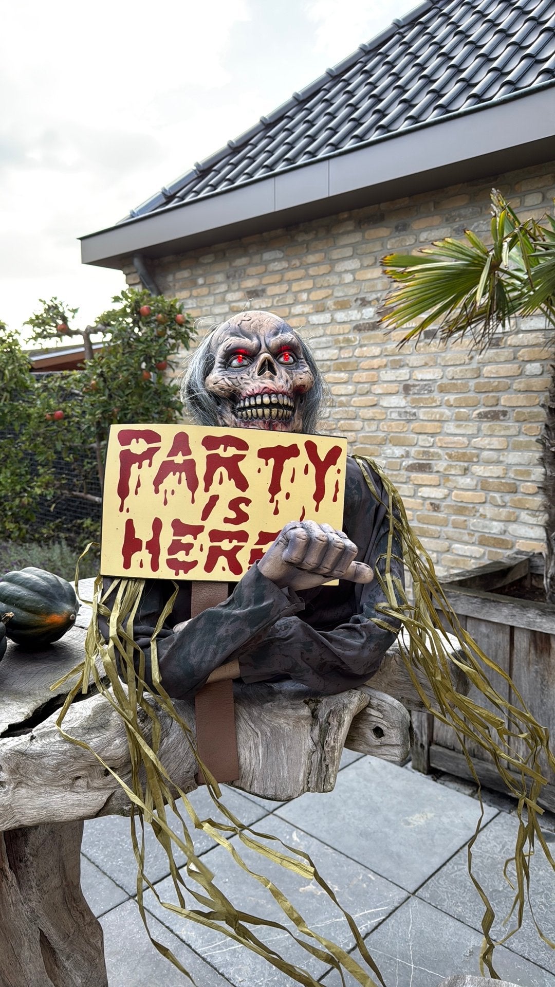 Halloween, Ophalen, Nieuw, Versiering, Halloween of Griezel