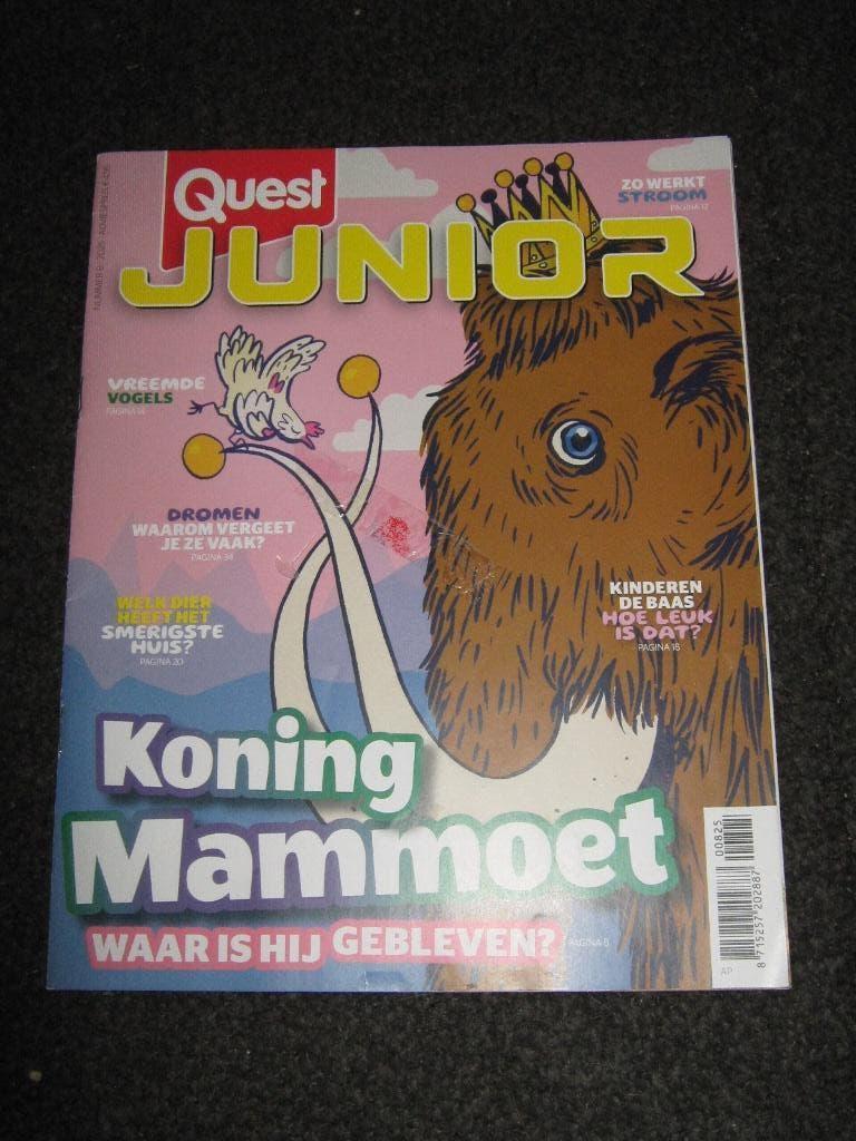 STUNTPRIJS!!!! QUEST JUNIOR VAKANTIEBOEK €0,35!!!!!!!!!!!!!!, Boeken, Ophalen, Zo goed als nieuw, Wetenschap en Natuur