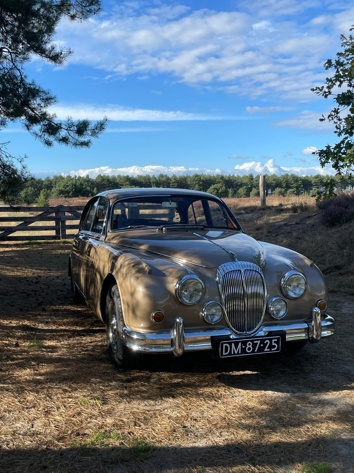 Daimler Saloon 2.5 L V8 AUT 1965 Bruin, Auto's, Oldtimers, Achterwielaandrijving, 142 pk, Bruin, Leder