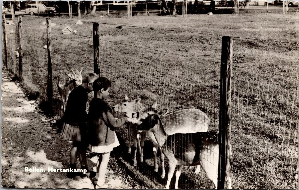 Beilen - 12 ansichtkaarten, Verzamelen, Ansichtkaarten | Nederland, Verzenden, 1960 tot 1980, Gelopen, Drenthe