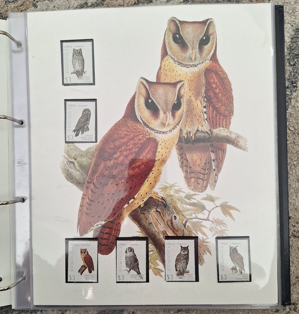 Verzameling postzegels met uilen en vogels, Ophalen of Verzenden, Gestempeld, Dier of Natuur