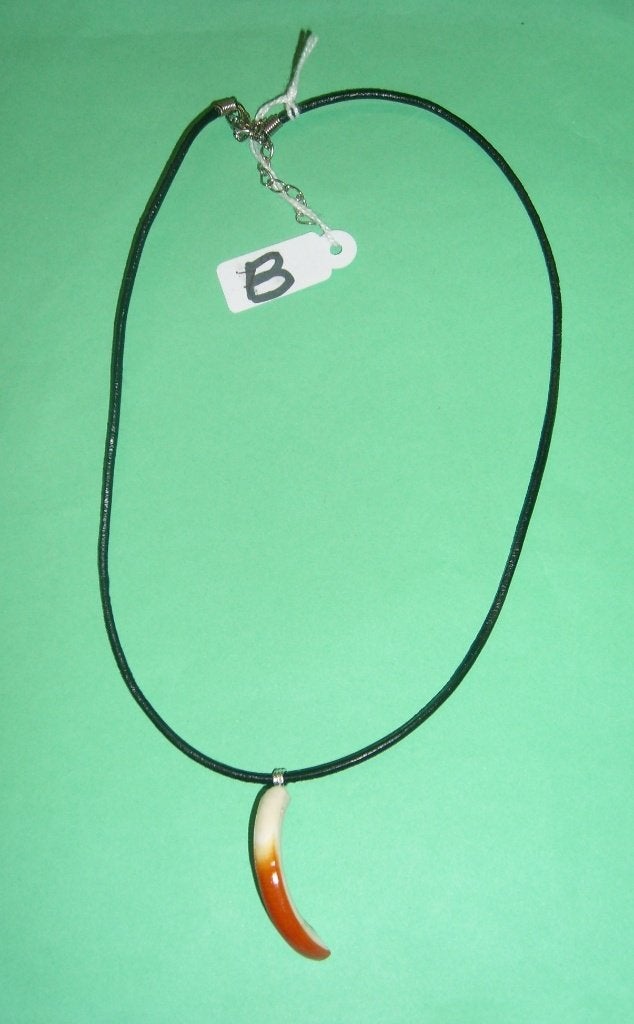 Halsketting Tooth Tand Bever Beaver 43 mm B3., Ophalen of Verzenden, Nieuw, Overige materialen, Verstelbaar