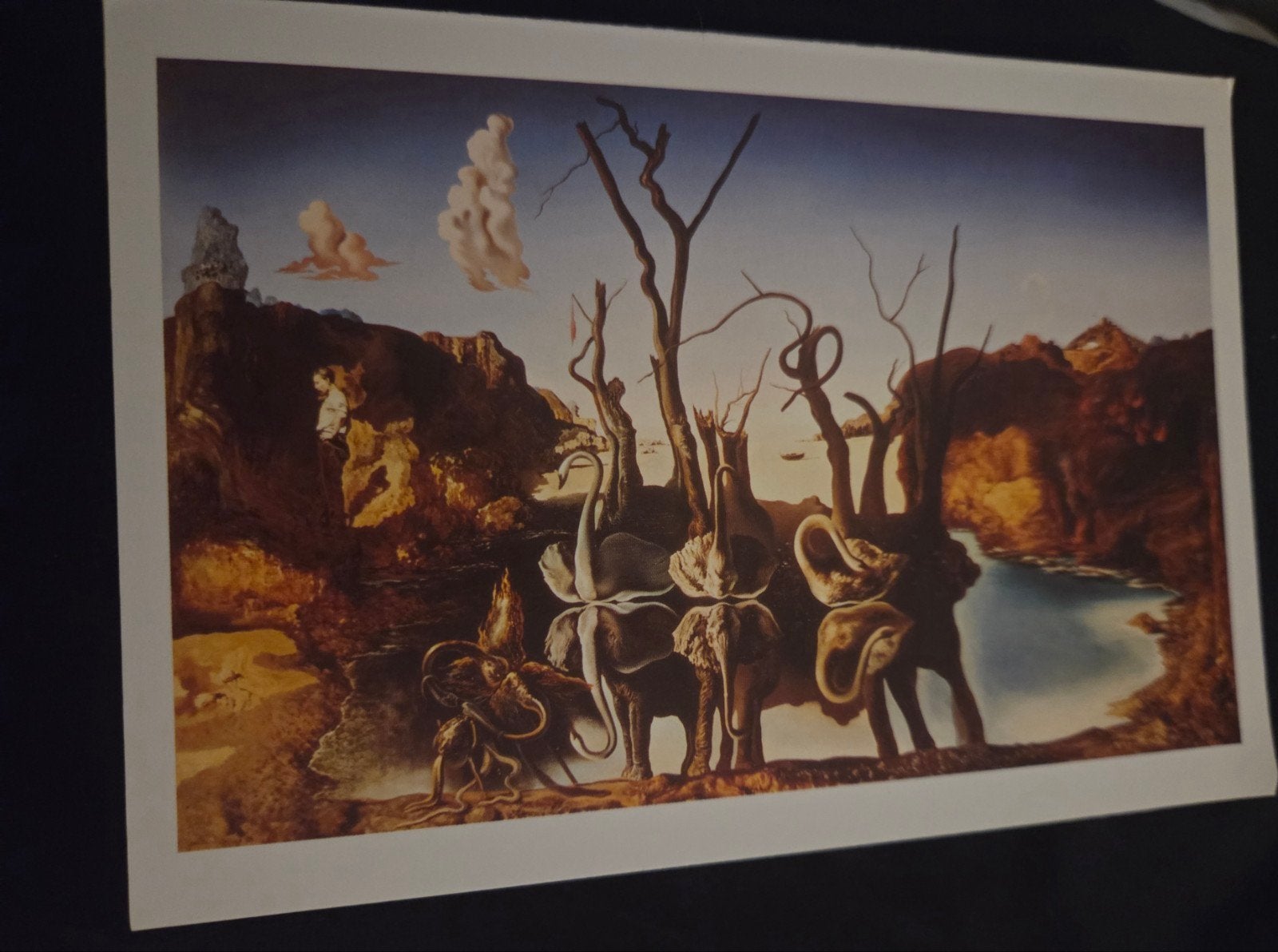Ansichtkaart Salvador Dalí - De Olifanten, Verzenden, Ongelopen, Overige thema's