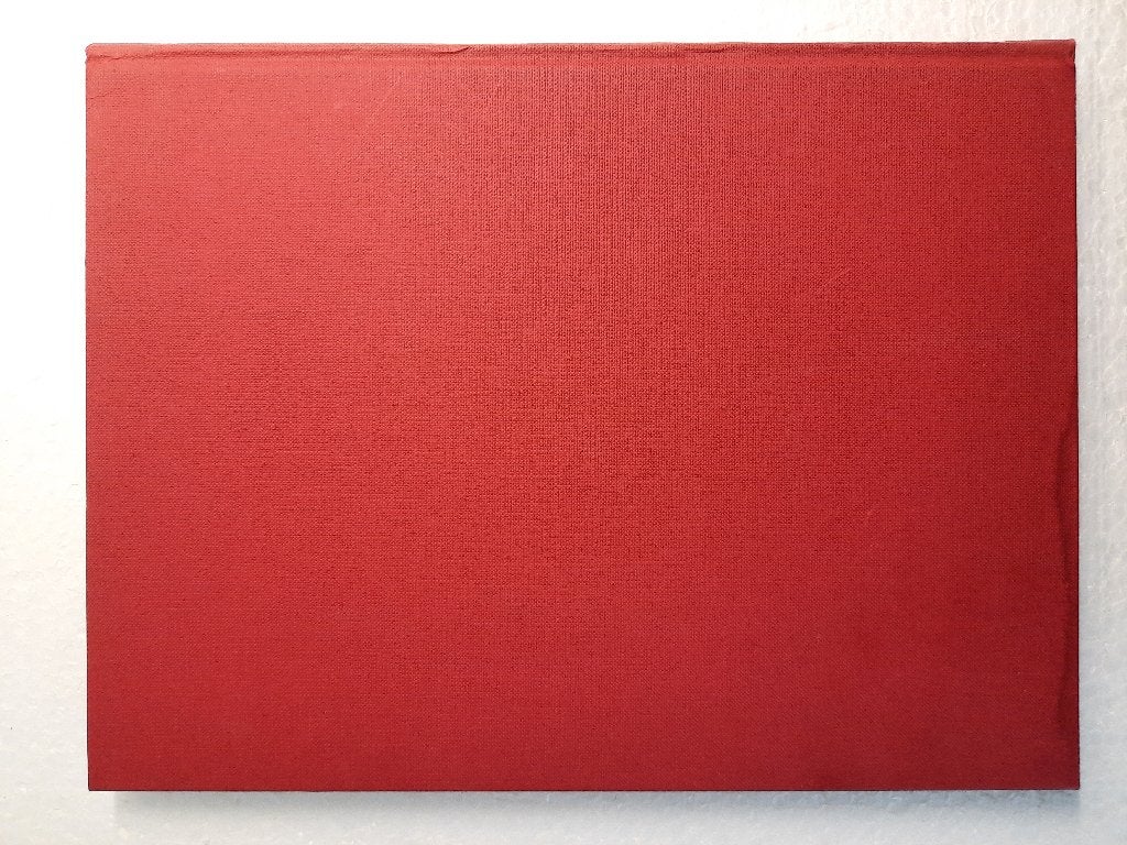 BOEK: LEVEN ONDER DE ZEESPIEGEL – MENICO TORCHIO, Boeken, Ophalen of Verzenden, Zo goed als nieuw, Overige onderwerpen, Menico Torchio