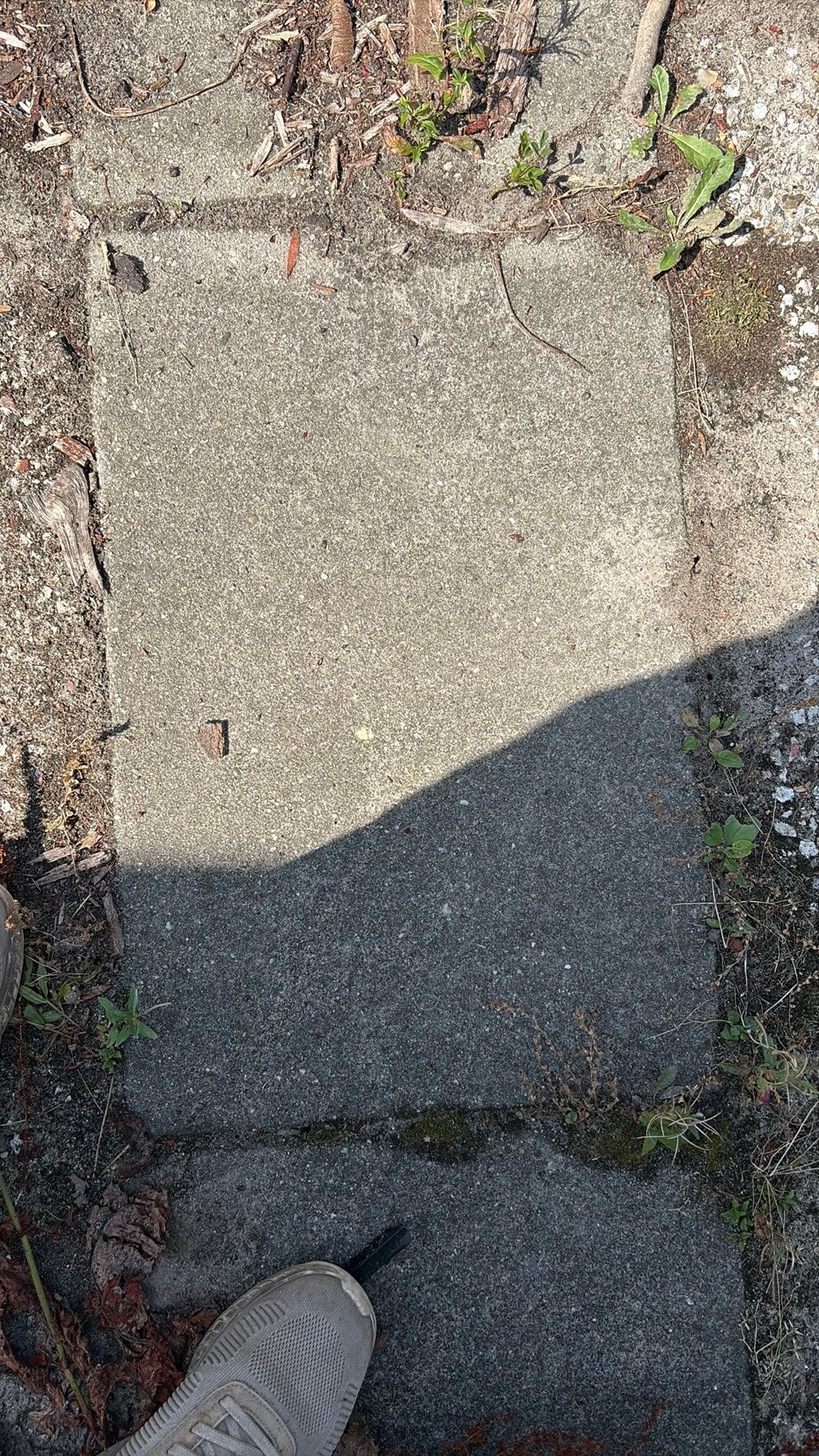 Tuintegel 60x40 8 stuks betontegel, Ophalen, Zo goed als nieuw, Beton, Terrastegels