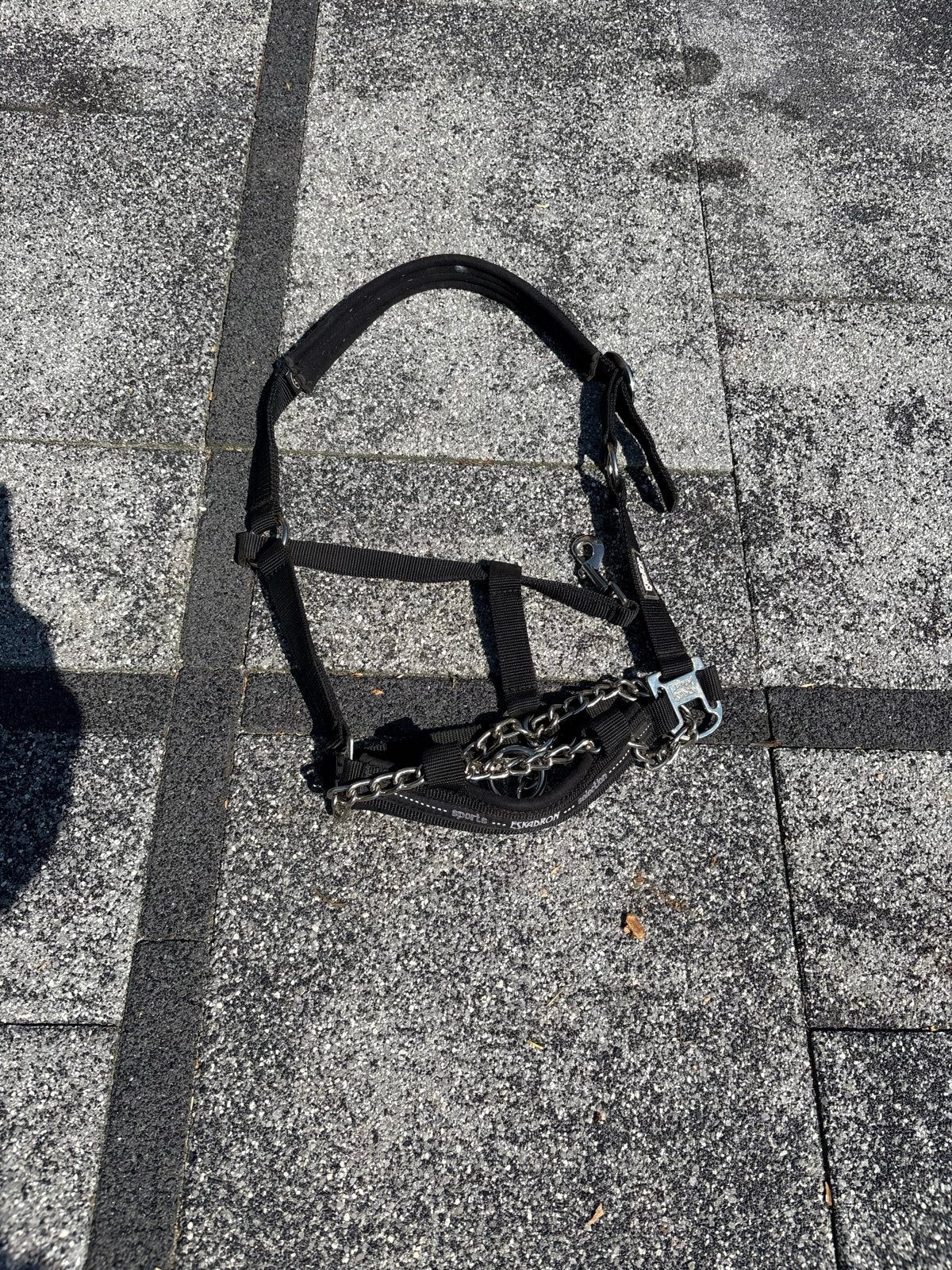 Halster inc hengstenketting eskadron, Dieren en Toebehoren, Paarden en Pony's | Hoofdstellen en Tuigage, Nieuw, Halster, Full