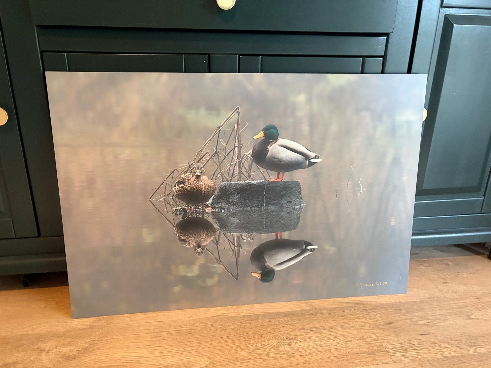 Fotoplaat Eenden 90x60, Huis en Inrichting, Ophalen, 50 – 75, Gebruikt, Print