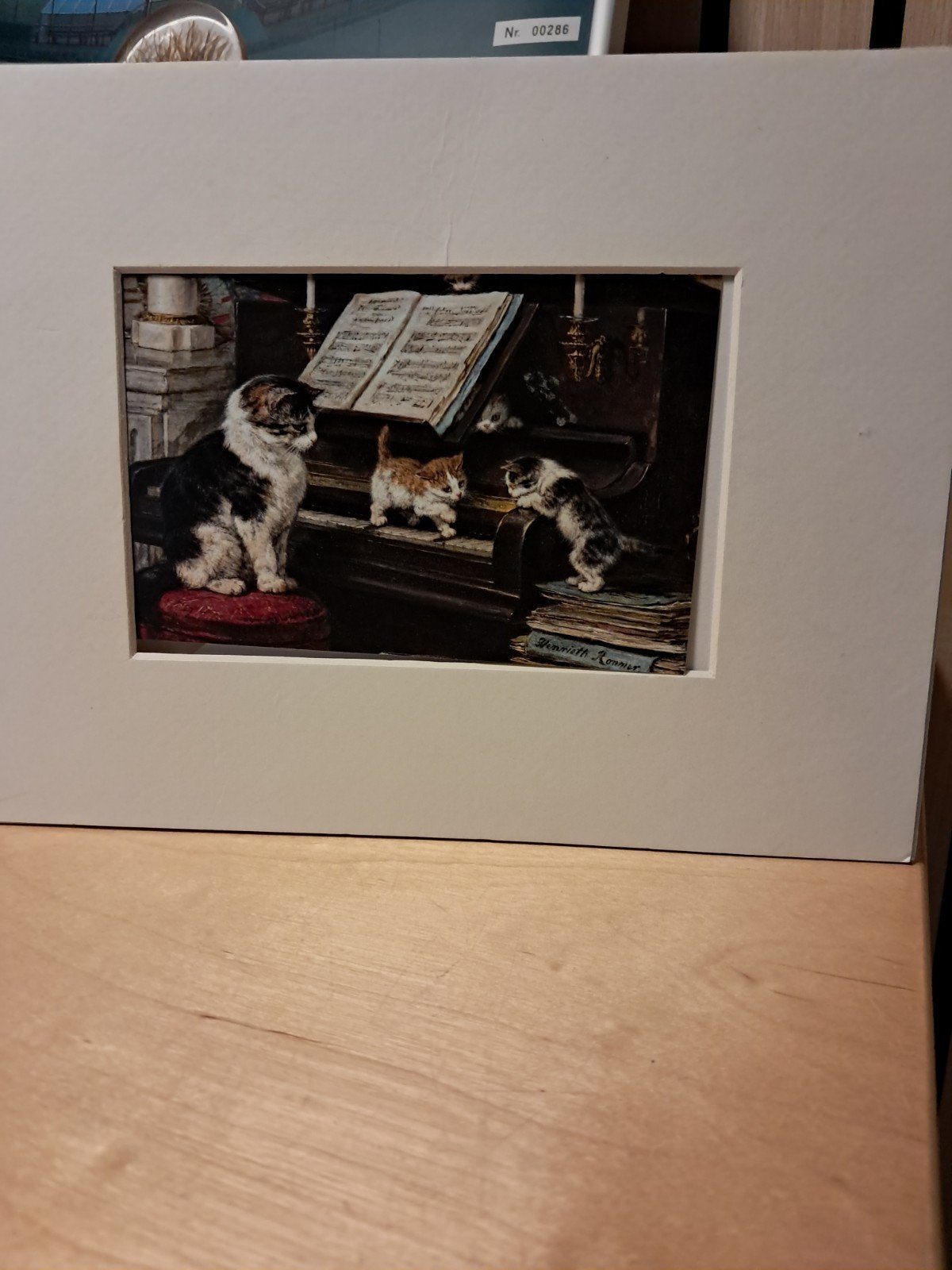 Schattig kattenschilderij met houdertje, Antiek en Kunst, Ophalen of Verzenden, Foto, Gemengde techniek