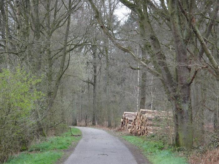 Bosgrond gemeente Born (Limbrichterbos) 4710 m2, Ophalen of Verzenden, Gebruikt