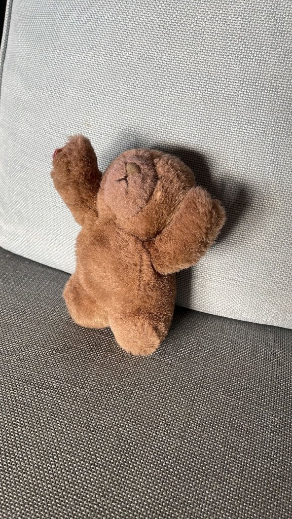 Pluche beertje, Ophalen of Verzenden, Gebruikt, Beer, Klein (minder dan 20 cm)