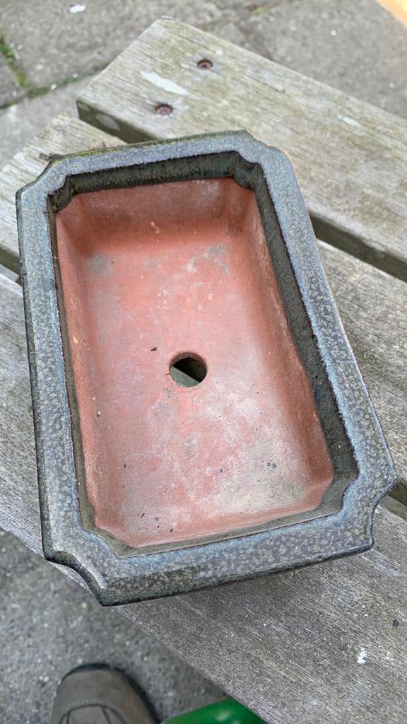 Bonsai schaal, Rond, Ophalen of Verzenden, Zo goed als nieuw, Aardewerk