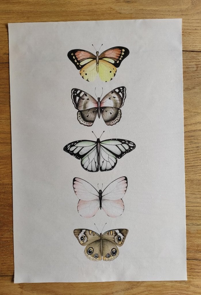 Vlinders - ArtPrint op Canvasdoek, Verzenden