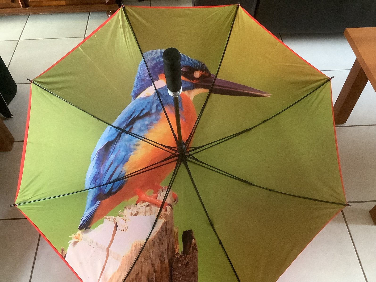Twee mooie Paraplu’s, Ophalen of Verzenden, Nieuw
