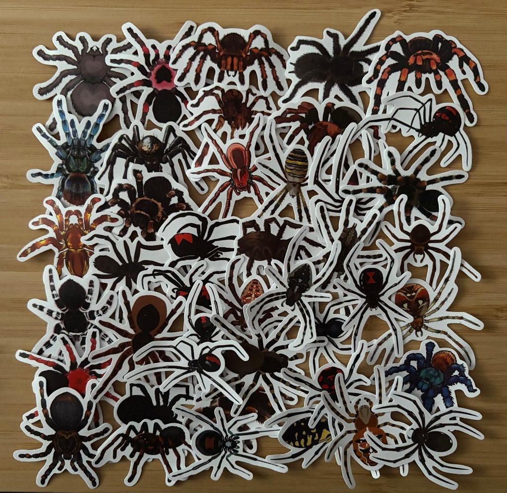 Spinnen stickers, Verzenden, Nieuw, Meerdere stickers