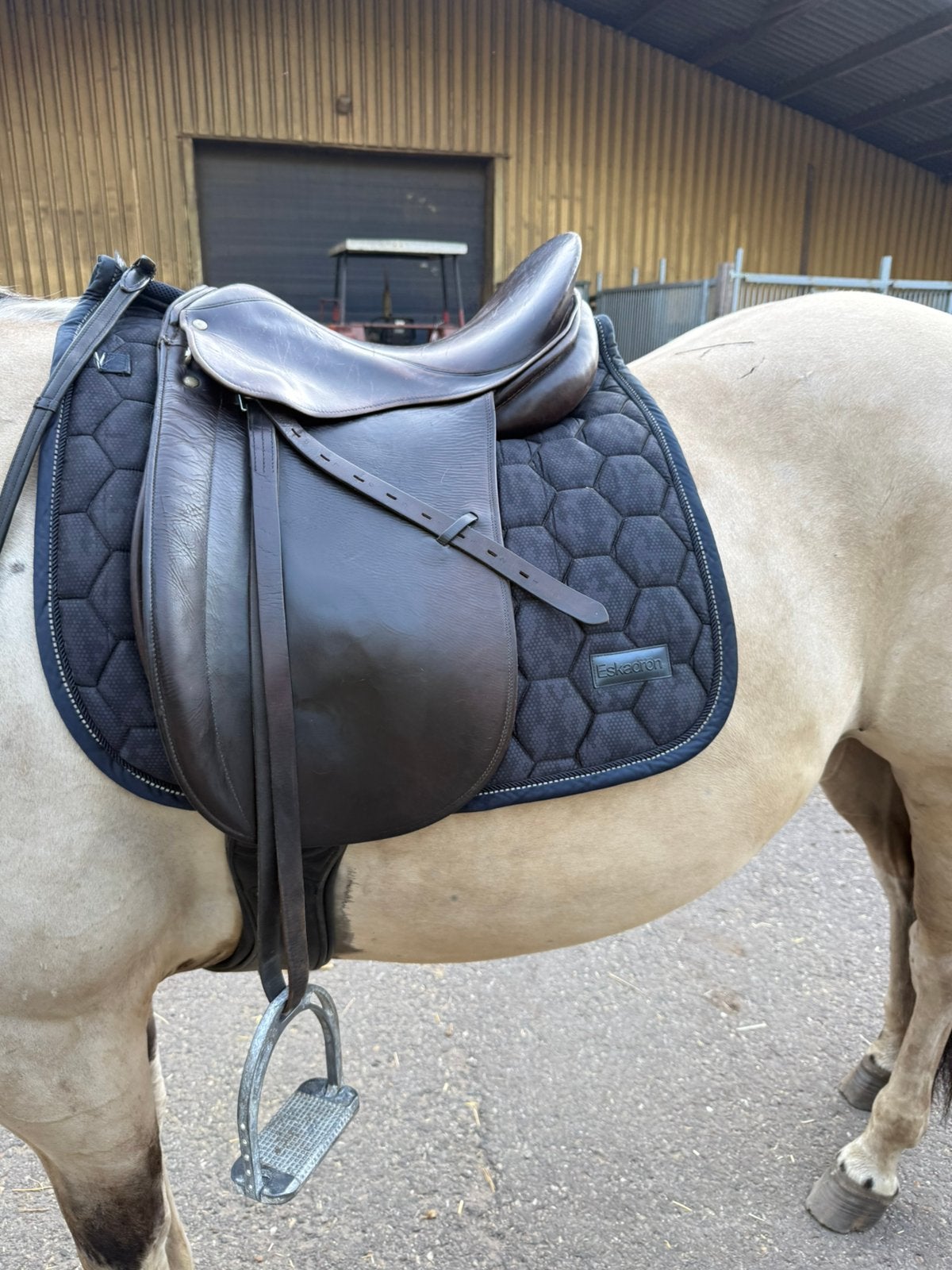 Pony zadek, Ophalen of Verzenden, Zo goed als nieuw, Dressuur