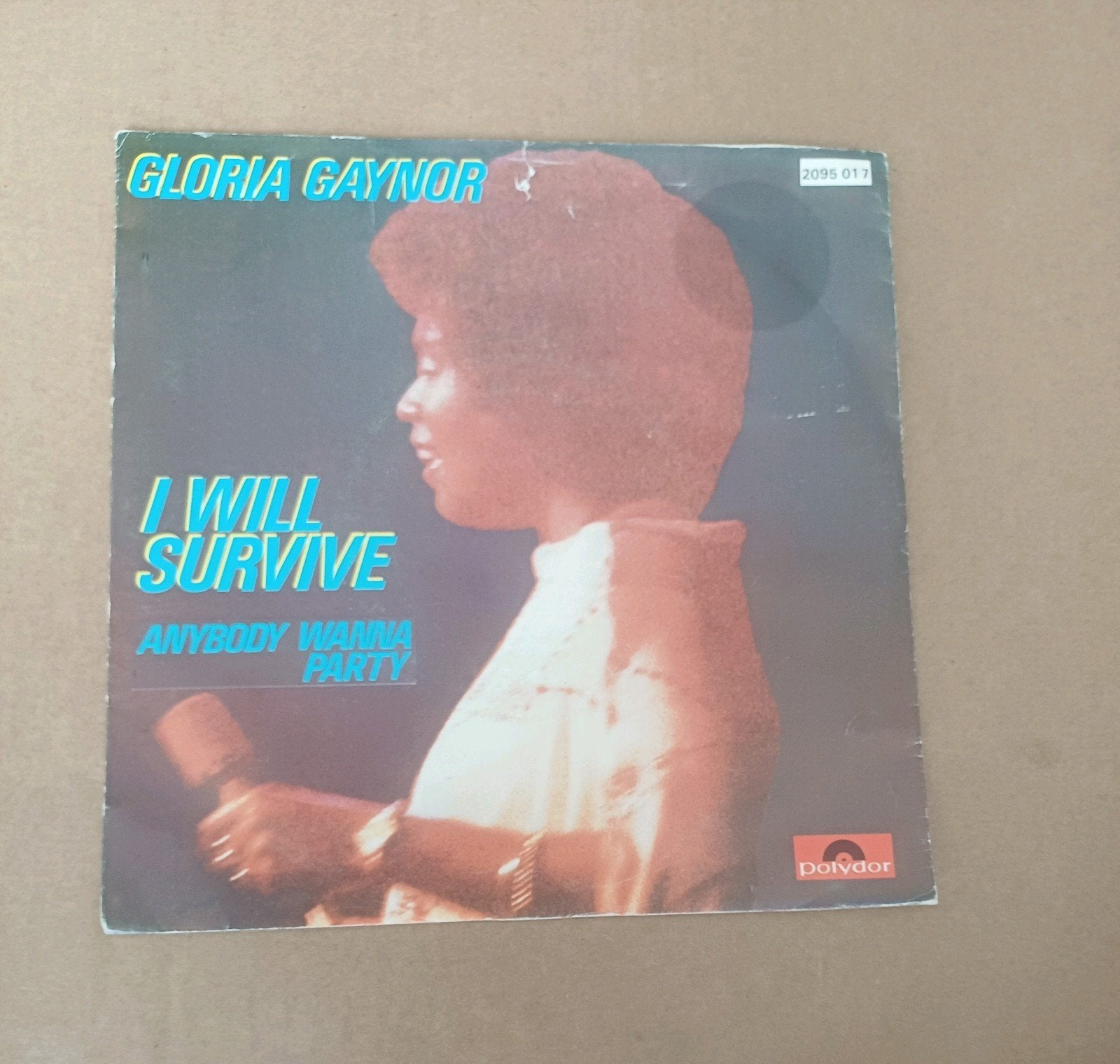 Gloria Gaynor  - I Will Survive, Cd's en Dvd's, Vinyl Singles, Beschermende buitenhoes, Ophalen of Verzenden, Gebruikt, Pop
