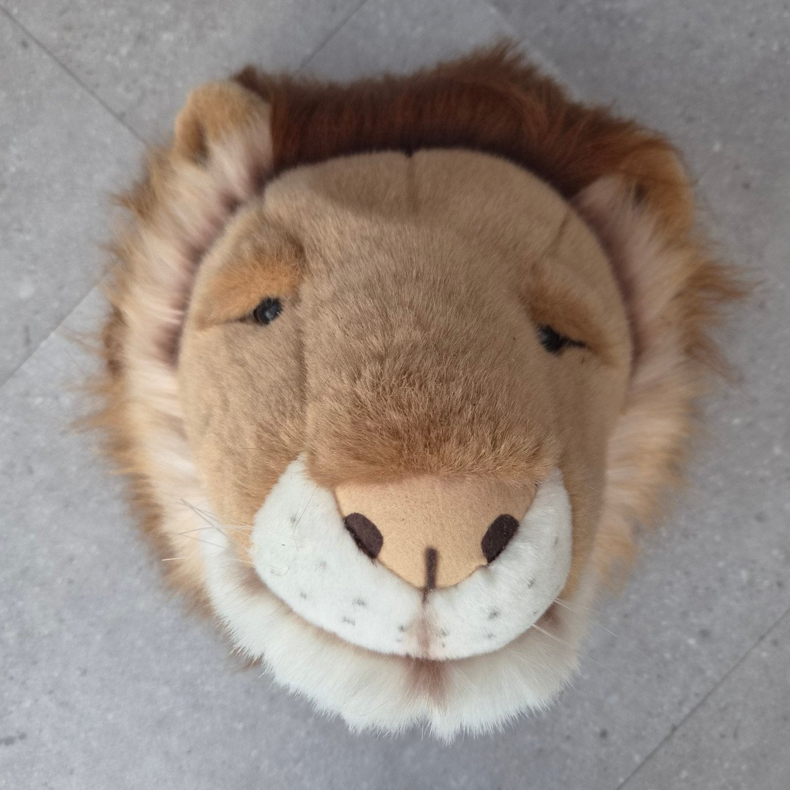 Wild and Soft dierenkop leeuw, Ophalen, Zo goed als nieuw, Wanddecoratie