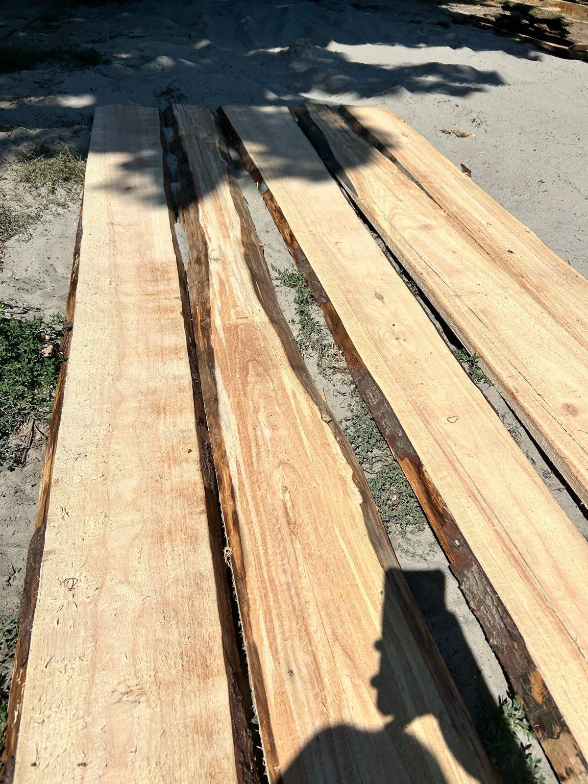 Schaaldelen Sitka uit eigen zagerij - 5 stuks, Ophalen, 25 tot 50 mm, Nieuw, Plank