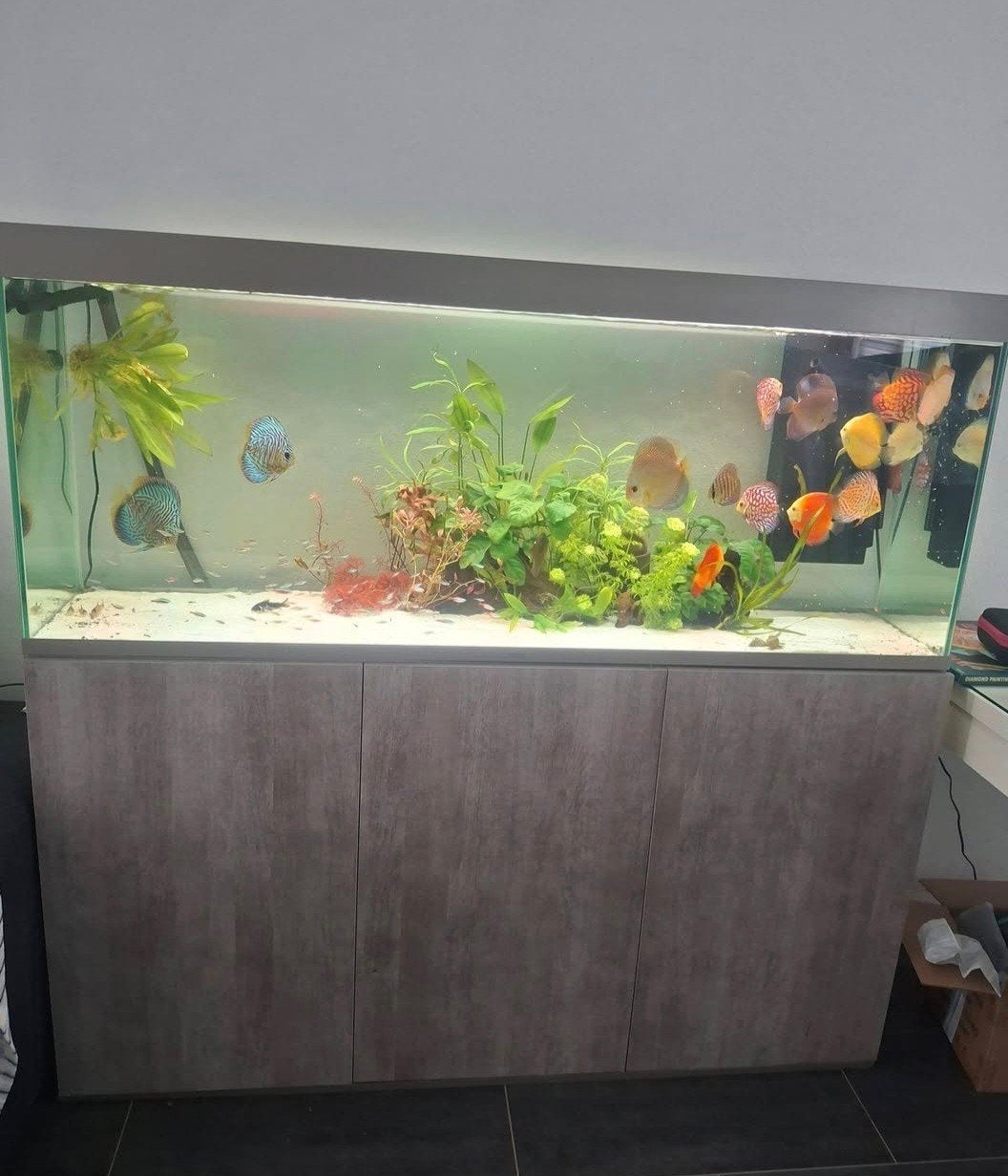 aquarium groot 1.50 cm netjes Zie omschrijving., Ophalen