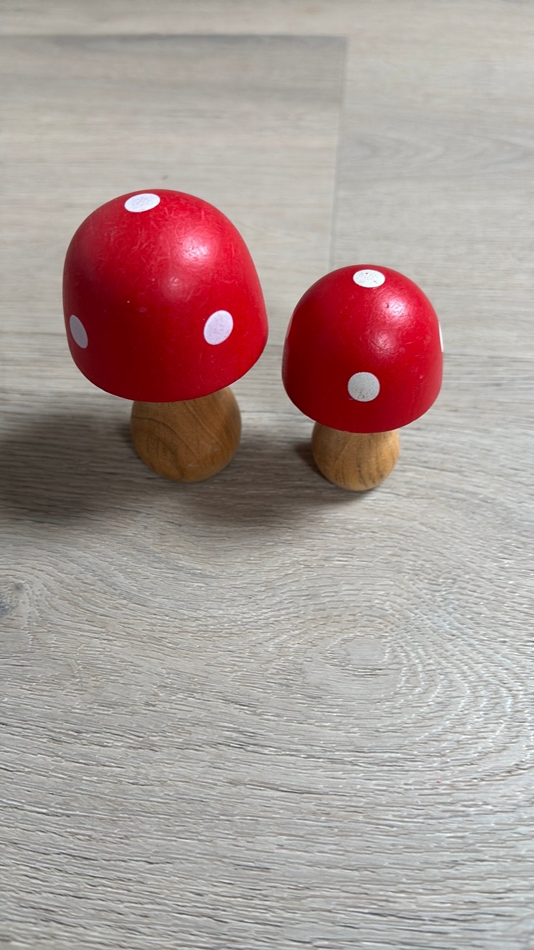 Houten paddenstoelen, Ophalen of Verzenden, Zo goed als nieuw, Dier