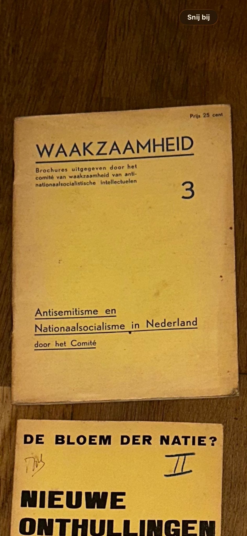 Waakzaamheid: Antisemitisme en Nationaalsocialisme, Boeken, Ophalen of Verzenden, 20e eeuw of later, Gelezen