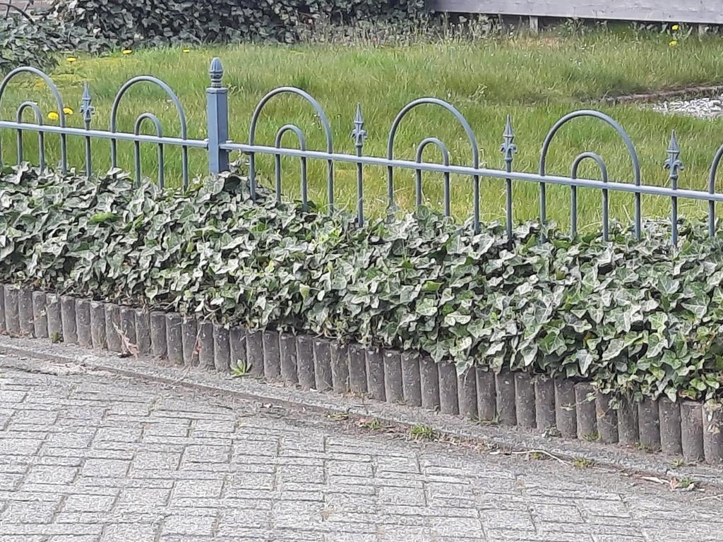 Hek groen poedercoat, Ophalen, IJzer
