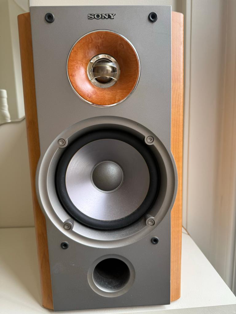 Sony SS-NX1 Speaker Systeem - Goede Staat, Audio, Tv en Foto, Luidsprekers, Ophalen, Zo goed als nieuw, Front, Rear of Stereo speakers