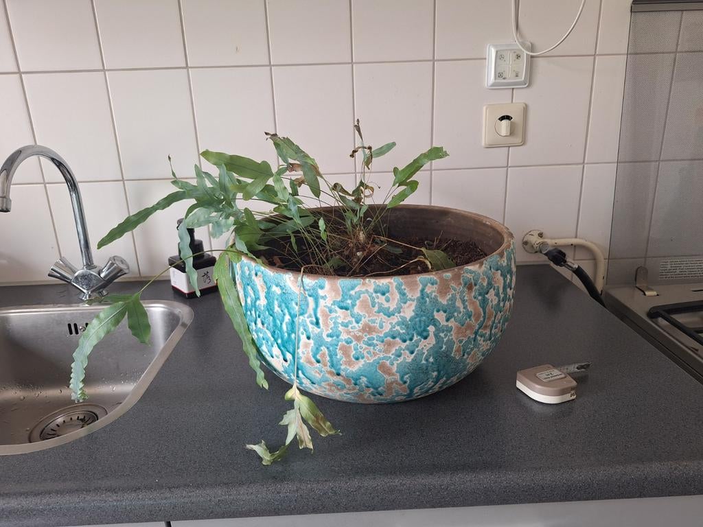 Prachtige stenen grote bloempot voor binnen, Tuin en Terras, Ophalen, Rond, Binnen