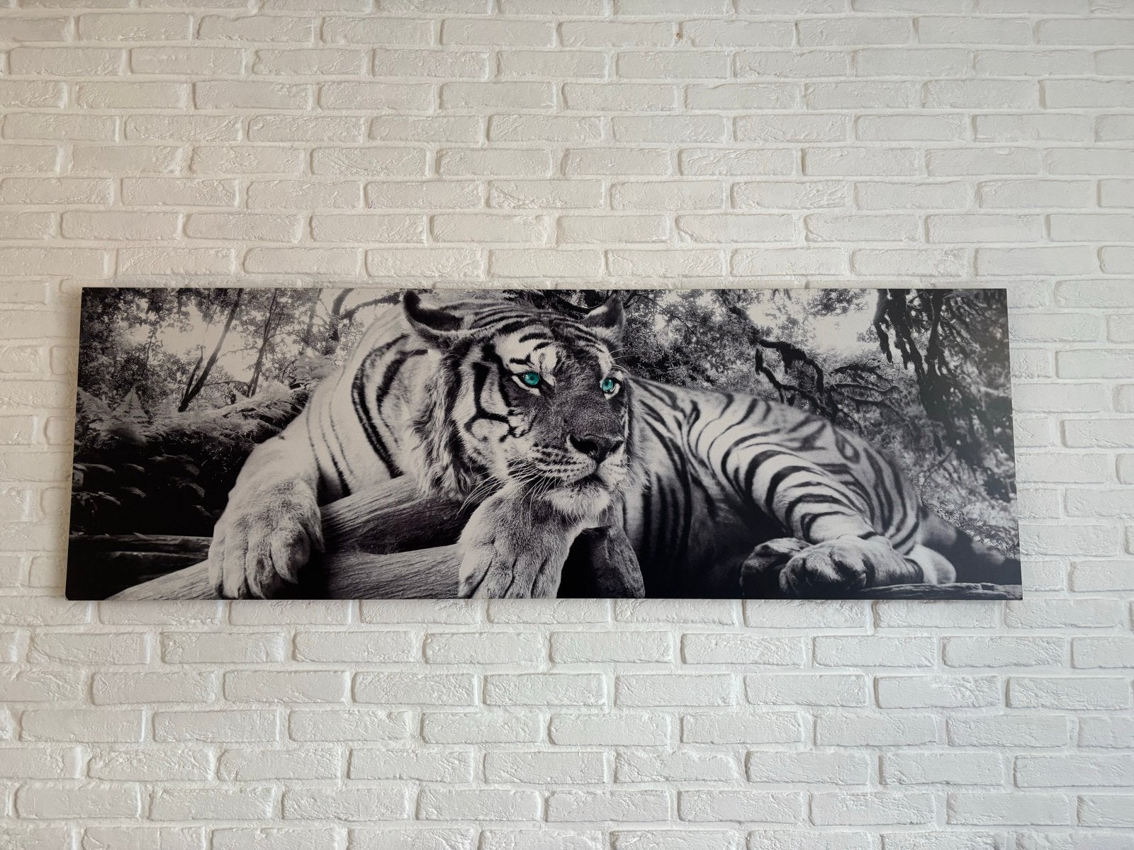 Prachtige tijger canvas met blauwe ogen, Ophalen, 50 – 75, Zo goed als nieuw, Schilderij