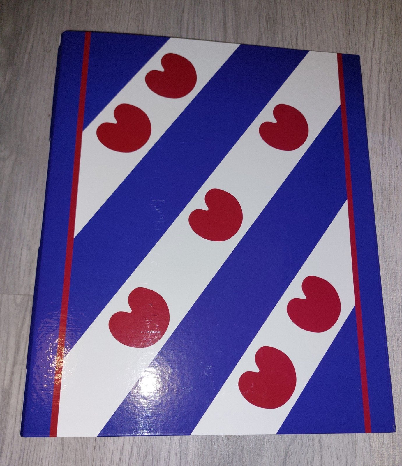 Friese ringband map a4, Ophalen of Verzenden, Nieuw