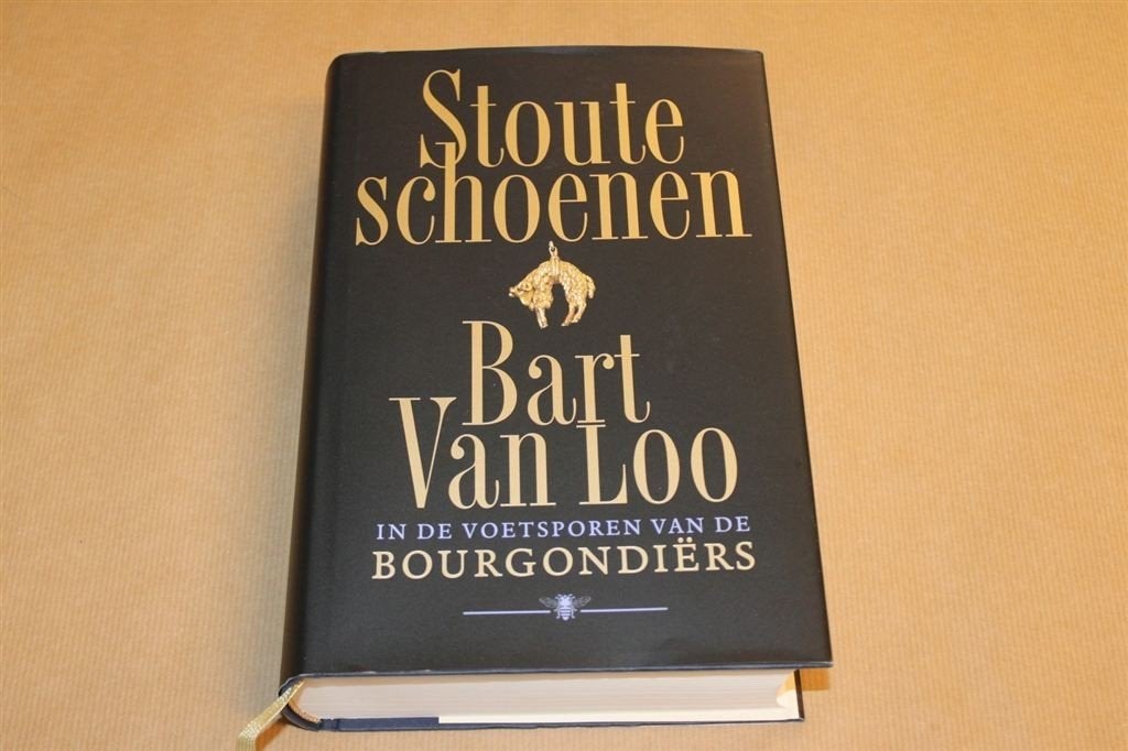 Stoute schoenen - In de voetsporen van de Bourgondiërs, Boeken, Ophalen of Verzenden, Zo goed als nieuw, Europa