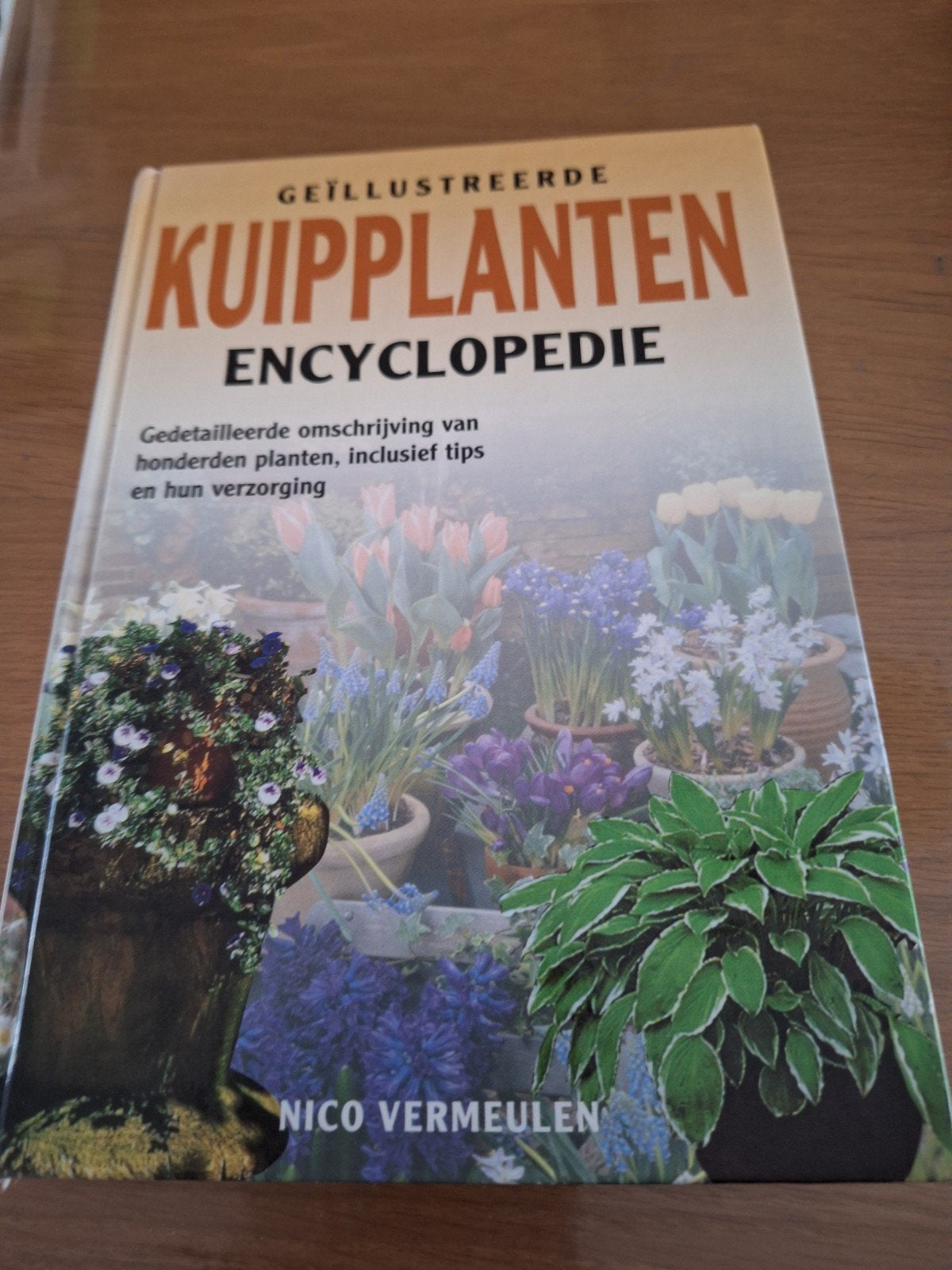 N. Vermeulen - Kuipplanten encyclopedie, Nieuw, Ophalen of Verzenden, N. Vermeulen, Bloemen, Planten en Bomen