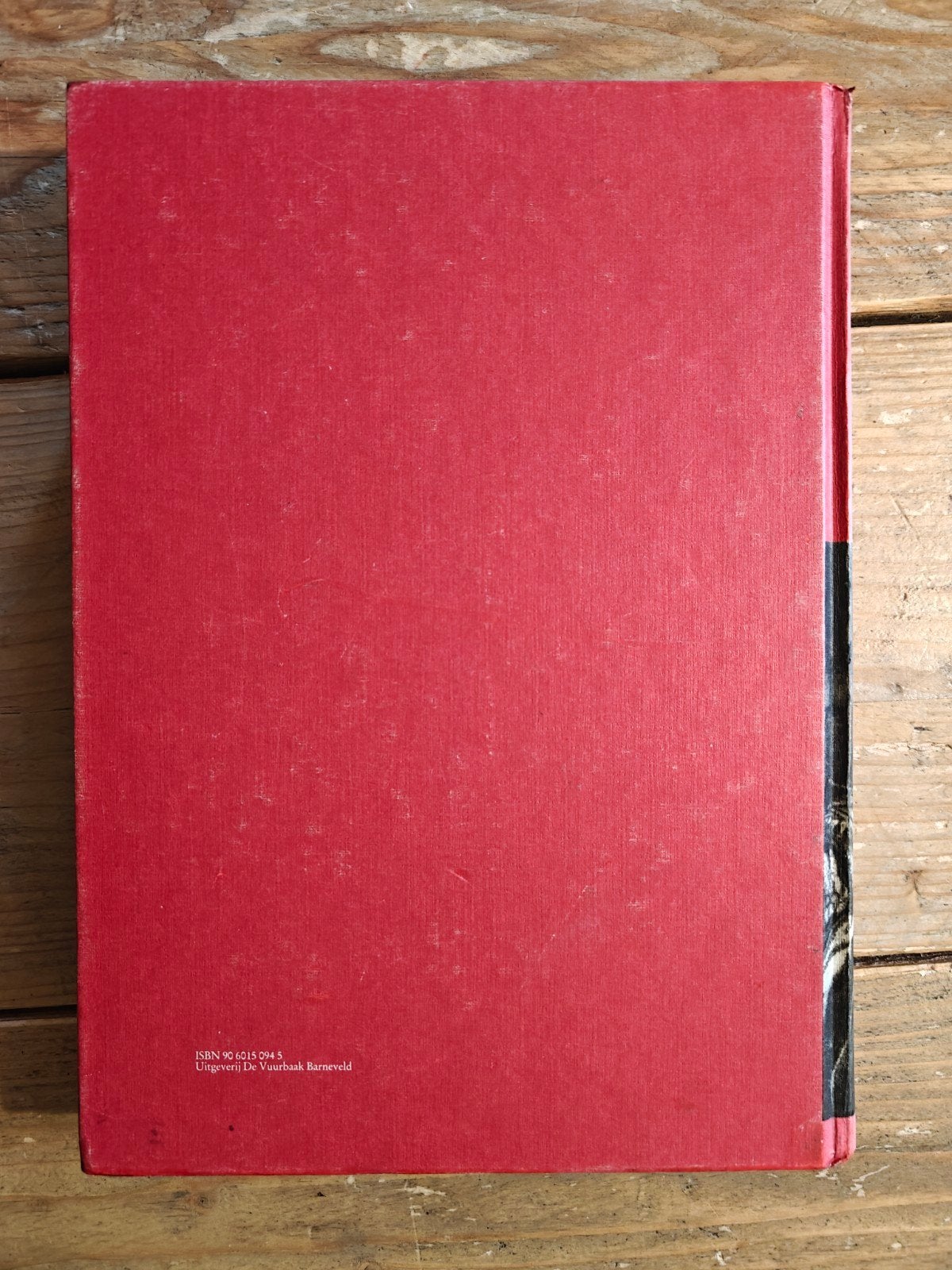 De Bijbel behandeld  voor jonge mensen., Boeken, Ophalen of Verzenden