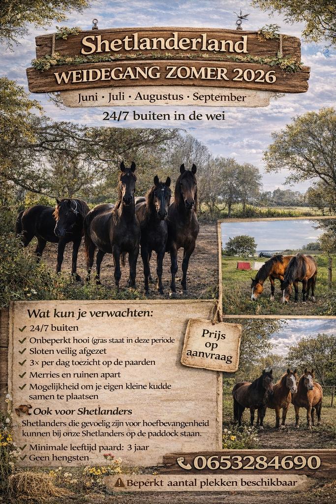 24/7 Zomer weidegang voor paarden en ponys, Weidegang, 4 paarden of pony's of meer