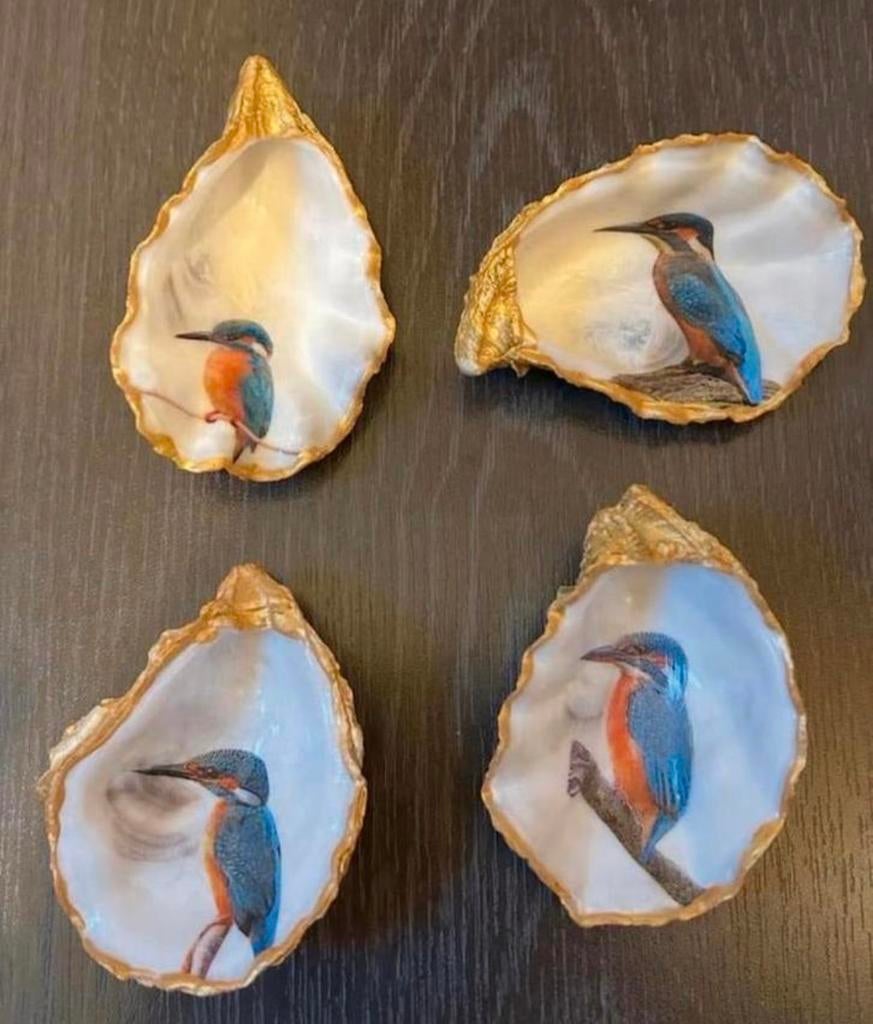 Oesterschelpen met  vogels elke vogel is mogelijk, Ophalen of Verzenden, Nieuw